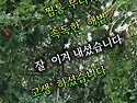 8월 마지막 날 26.08.3..