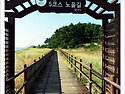 [태안해변길] 태안 해변길..