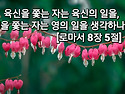 로마서 8장 5절