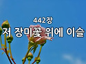 찬송가 묵상 #281 저 장미..