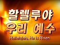 찬송가 묵상 #337 할렐루야..