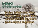 [우리나라 동요를 찾아서 ..