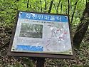 7월정기산행