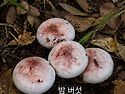 2026년 9월 3일...