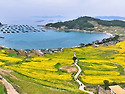 완도 청산도·보길도 '섬섬 걸을래' ..
