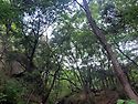 8/17(일) 아차산