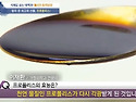 프로폴리스에 들어 있는 플라보노이드(..
