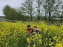 창원 천주산