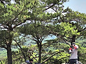 06/28(일) 도봉산/ 냉골..