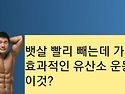 뱃살 빨리 빼는데 가장 효..