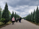 0507 구리 유채꽃밭