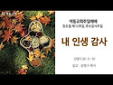 [주일예배 설교] 내 인생 감사(2024.11.17 창조절 제12주일, 추수감사주일)