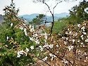 용궐산 Photo이야기
