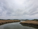 2026년 05월 06일 수요일 [백] 부활..