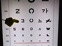 2025년 06월 26일 목요일 [녹] 연중..