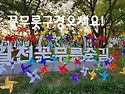활천꽃무릇축제