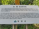여행