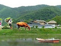 **.경남 고성 싼 땅 매매..