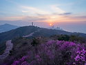 AI 보정