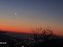 백양산 철죽