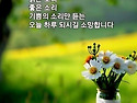 중국 계림에서