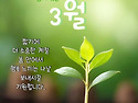 동백꽃
