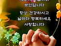겨울 일기