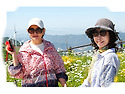 평창//육백마지-2026.5.31