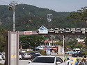 양귀비축제