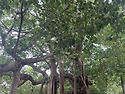 2025년11월7일 금요일