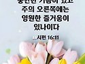 #희망의메세지 2026년8월..