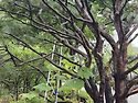 #희망의메세지 2026년9월..