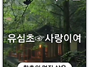 황혼의 멋진삶을 위해꼭"
