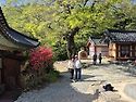 진도~목포~군산 1무1박3일~~^^