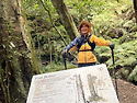Leura Fern Bower Blue Mts N..