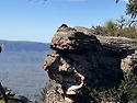 Narrow Neck Blue Mts N. P. ..