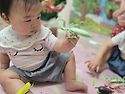 7월 4주 - "얼음 뿅뿅이"(오감) & 곤충을 살펴보아요~~^^