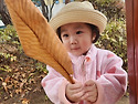 10월 4주 나뭇잎을 바구니에 담아요 🍂