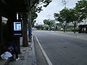 경남 함양 상림공원