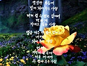 아름다운 사람들