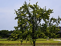 경주 일원