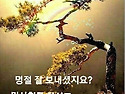 아름다운 묘기