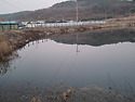 3월정출의 전사들