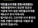 세종시 영평사 구절초 꽃