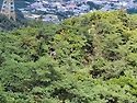 8월2일 수락산에서