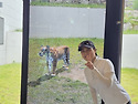 대관령2