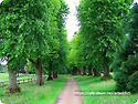 Bach Classical Music for Re..