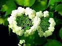 화요 인사.