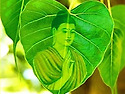 수요 인사.