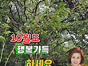 10월도 행복이 가득하세요..